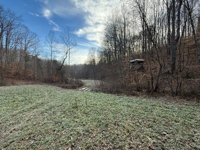 013 valley food plot in one of the two main valleys