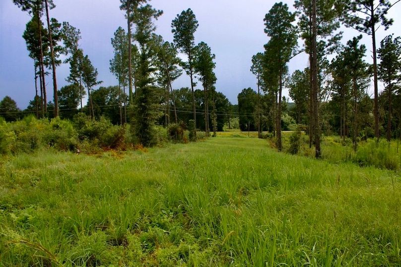 5E005530-4BDB-4213-A220-439FE8C87FD8_1_105_c