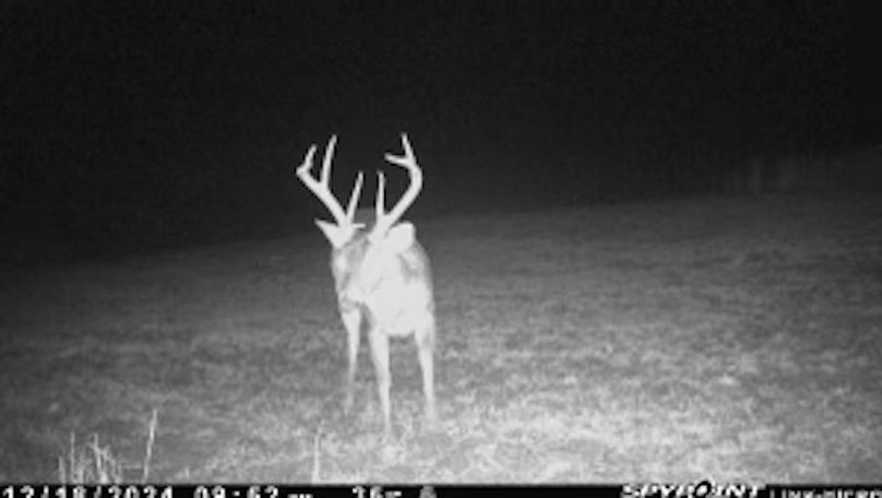 TwinStatesTrailCam30