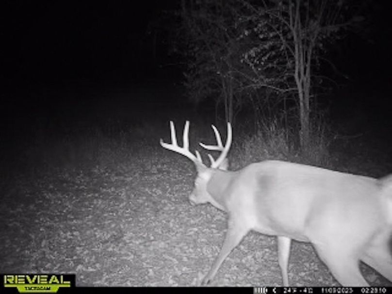 865509050418056-50-4-11092023022839-W1003202