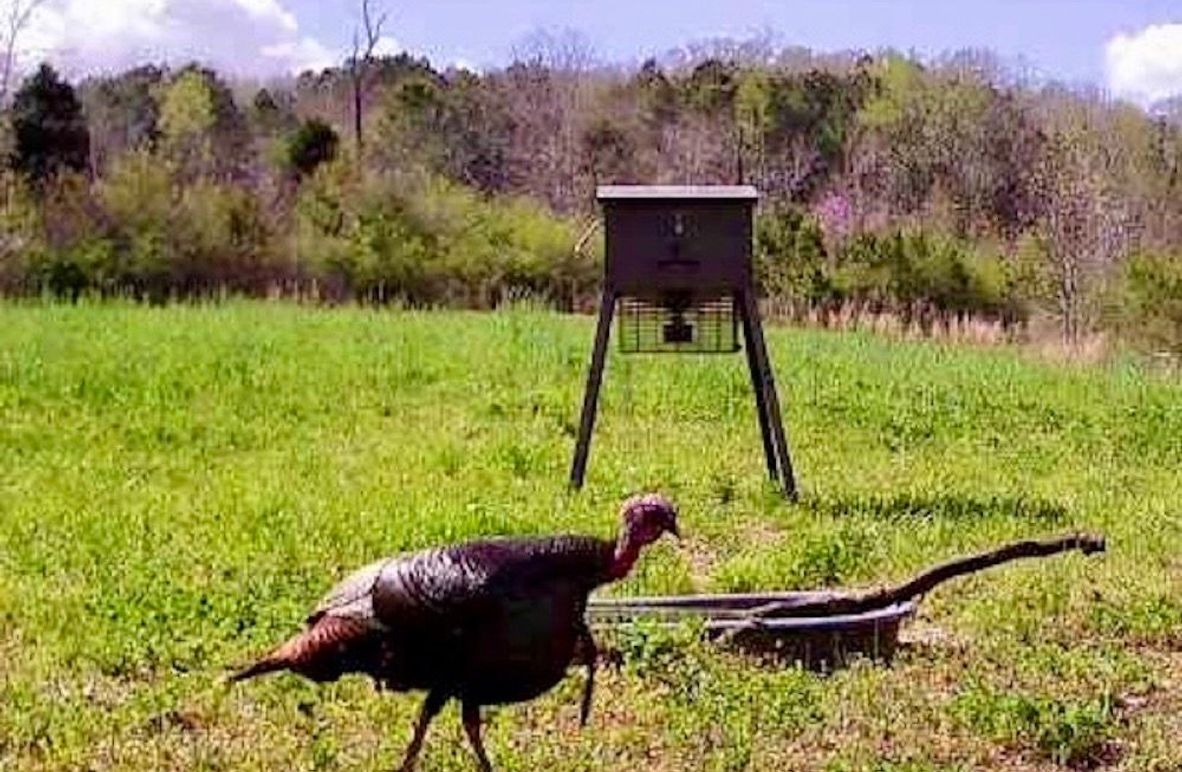 67354ec7-4953-49fd-9ca9-fe1be459c4b3