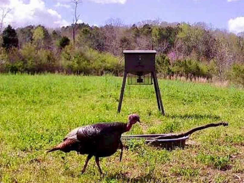 67354ec7-4953-49fd-9ca9-fe1be459c4b3