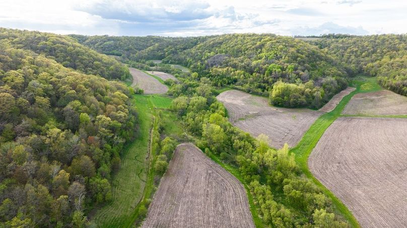 DJI_0259