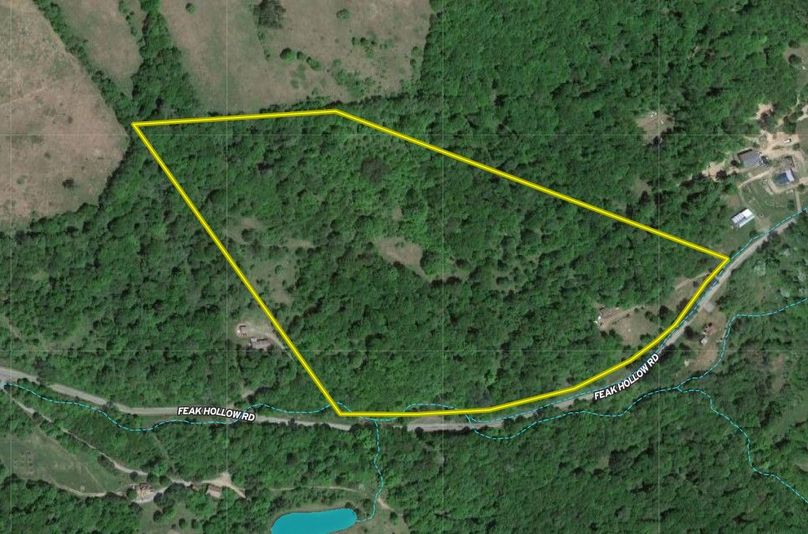 Delaware 30 Favaloro Google