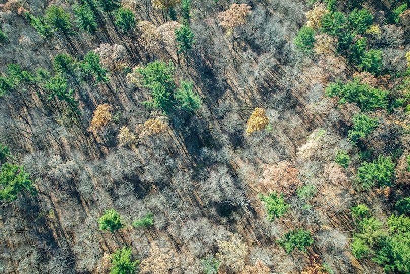 Portage 150.81 JMJK Prop-41