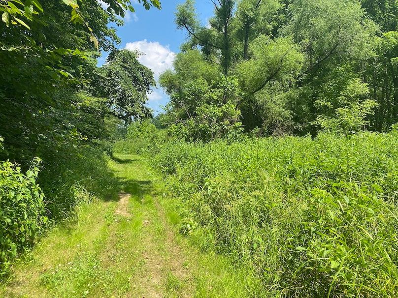 018 another of the trails leading to the northeast area of the property copy