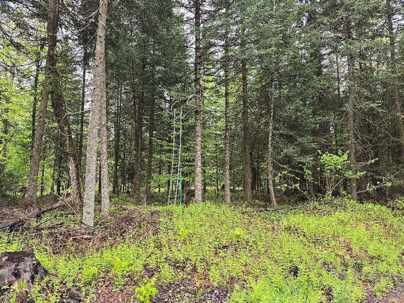 photo_67cec884-f36d-4dc0-98b5-ab54ba564e11