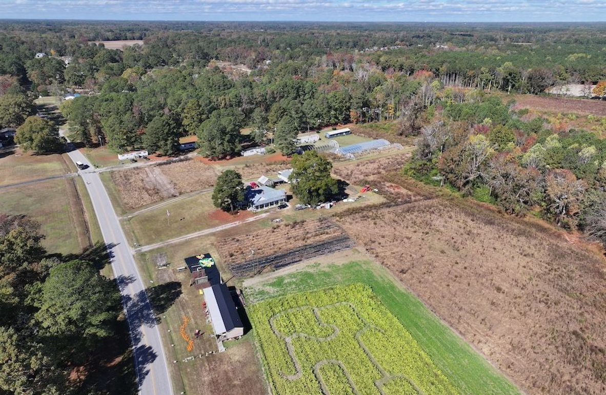 DJI_20251018123703_0134_D