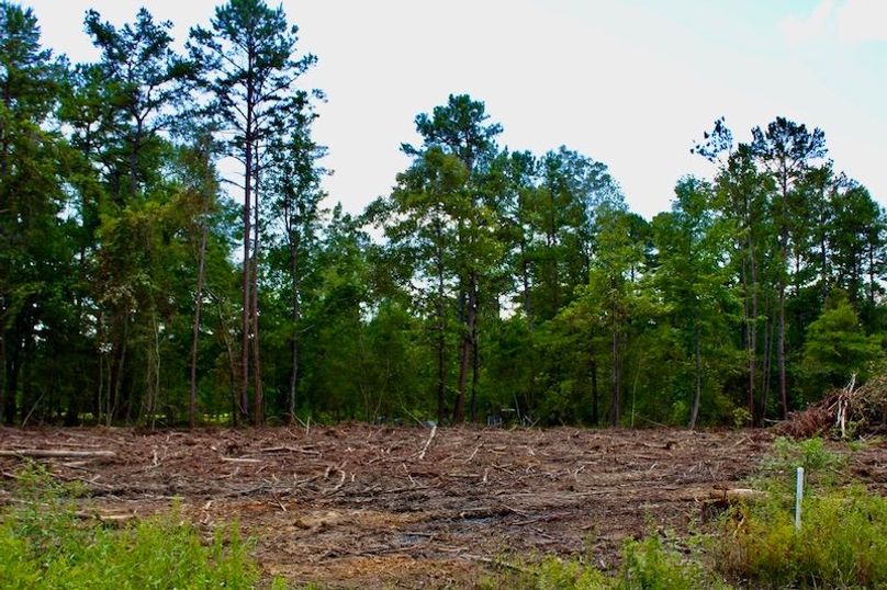 6509752F-FD88-4AAB-AFF2-3D9646C5522A_1_105_c