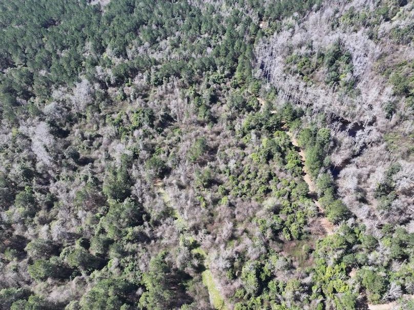 dji_fly_20260224_111834_0318_1772209052314_photo