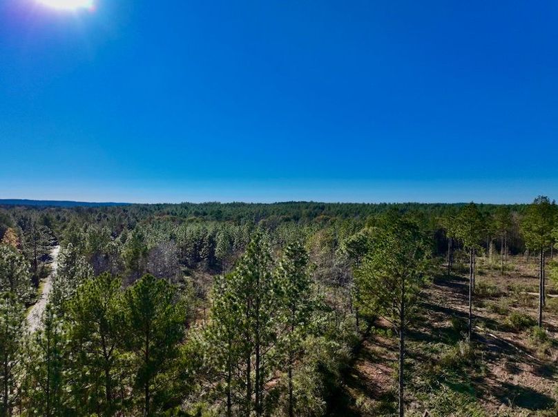 060346C9-BF30-4AC3-803B-38A66EA63E46_1_201_a