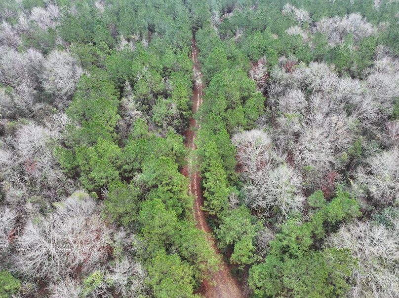 dji_fly_20260122_090750_0833_1769444823344_photo