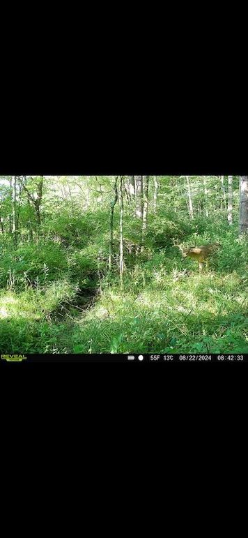 Screenshot 2026-02-27 at 4.16.59 PM