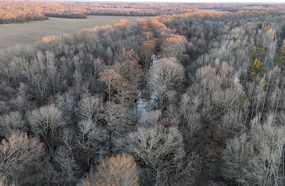 311 new20260217_0453