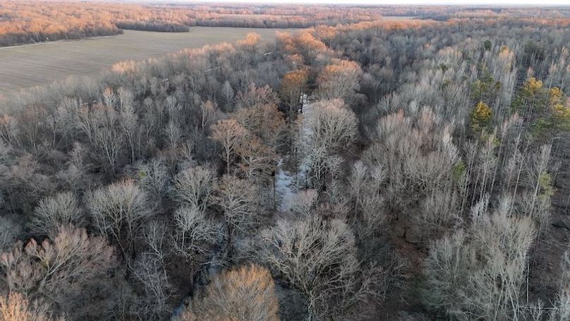 311 new20260217_0453