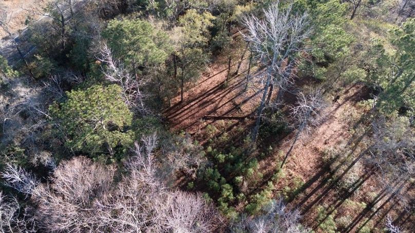 DJI_20251209145820_0019_D