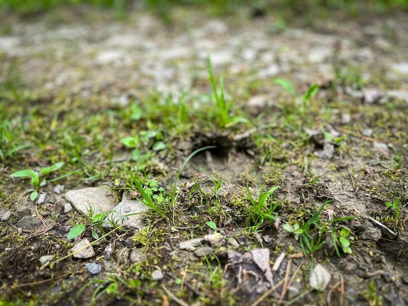 Tioga_78_Biada_Photos_29