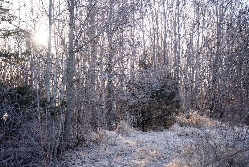 HennepinMinnesota120-096