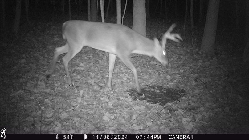 trail cam22