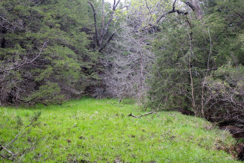 Washington, Co, 83.3_005