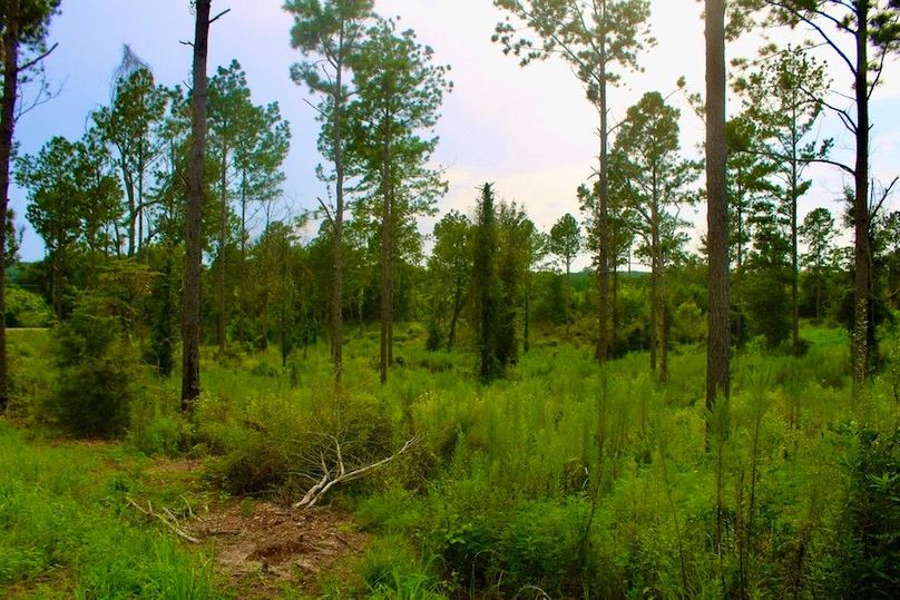 EE2B8C08-10CF-4A88-B2E3-F82E5B8E2022_1_105_c