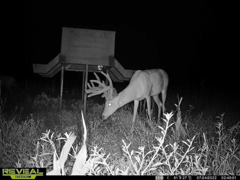 865509050069214-80-4-07242022201609-hd-syew0209