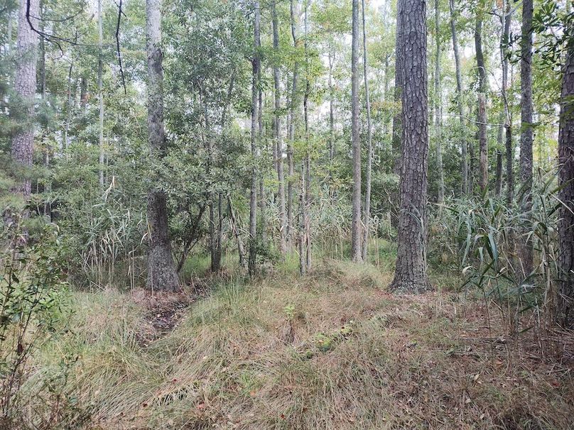 IMG_20250830_135349958