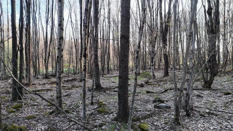 DJI_20260423190556_0297_D