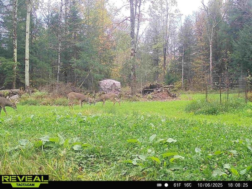 865814048724973-70-2-10062025180824-HD-W1015348