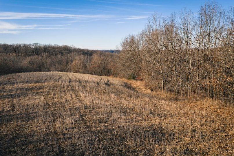 DJI_20260218161308_0625_D