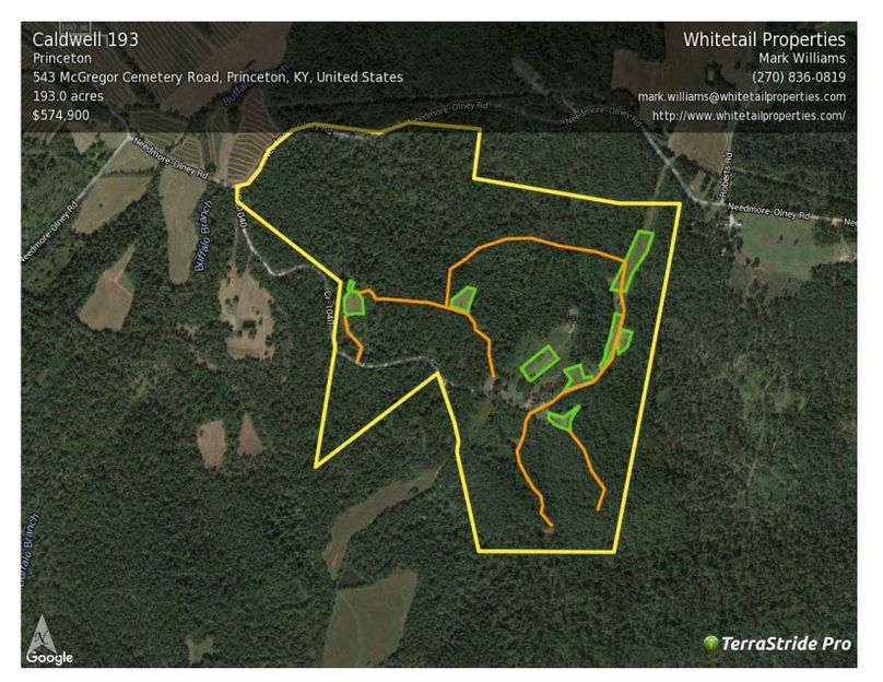 A193 caldwell trail and food plot a copy