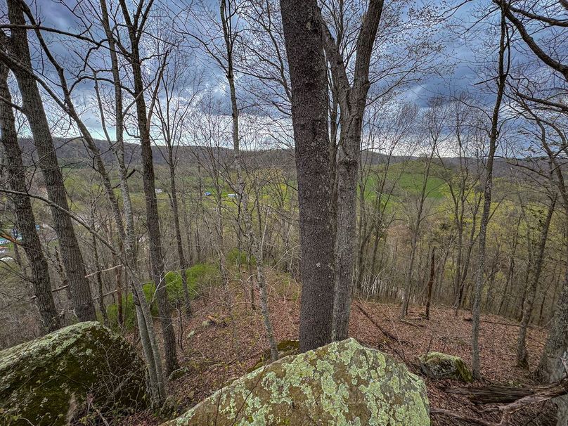 Wirt, WV 39.564 AC Full-15