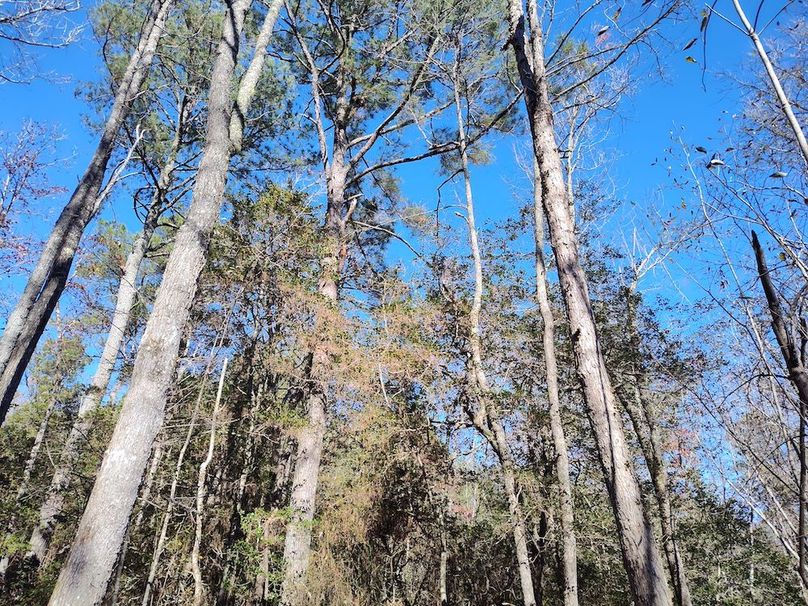 IMG_20251124_122734238