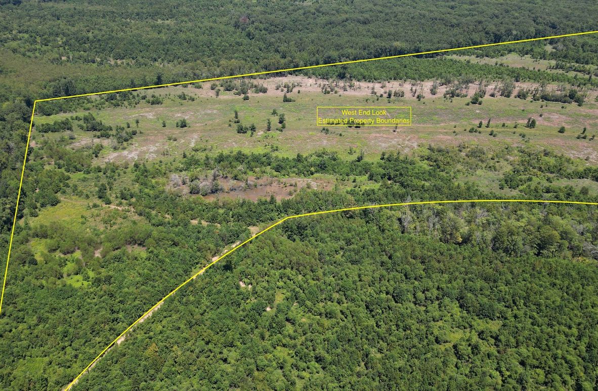 New Pic 4 149 Clarke