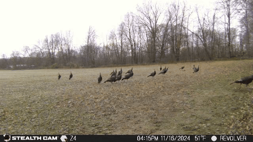 24111616155401001151