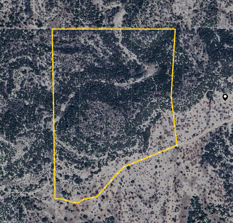 Screenshot 2025-11-13 at 3.17.04 PM