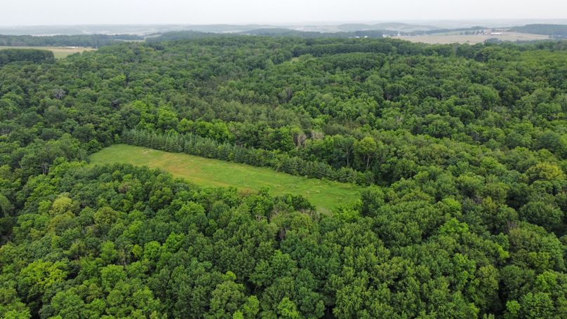 dji_fly_20230610_085310_567_1686405901554_photo_optimized