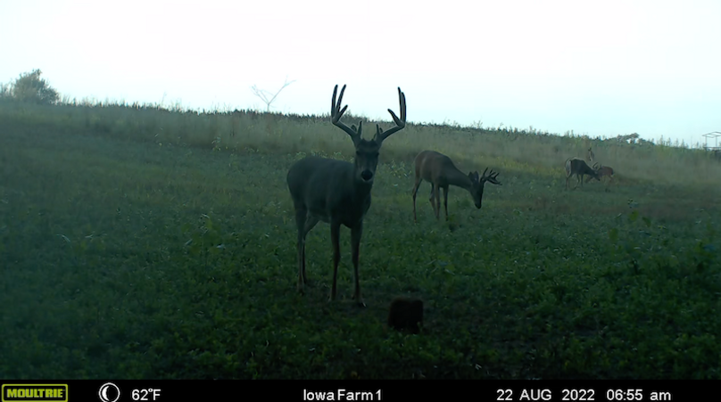 Screen Shot 2024-02-05 at 3.24.20 PM