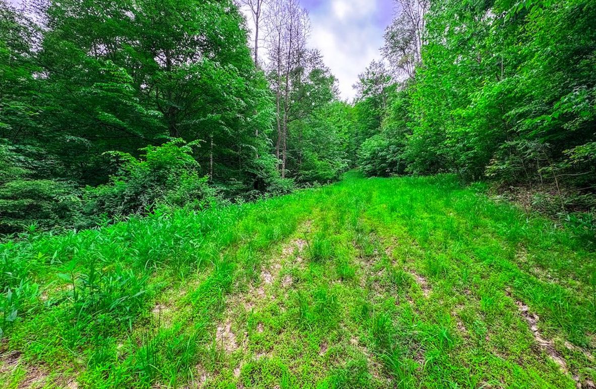 Tyler, WV 313.87 AC -06