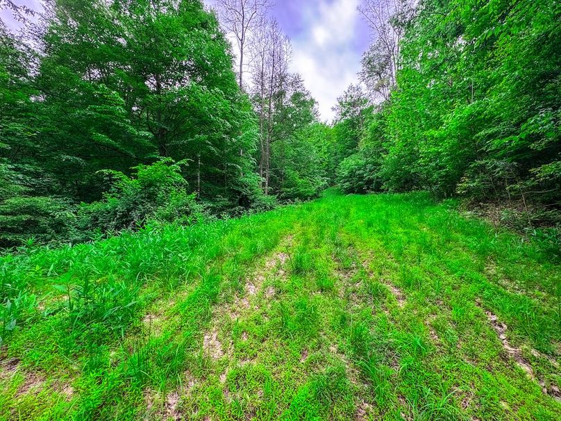 Tyler, WV 313.87 AC -06