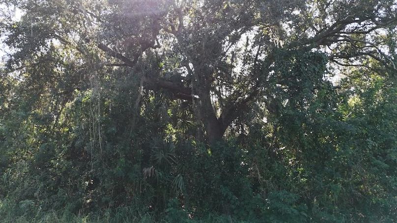 DJI_20251204113512_0055_D