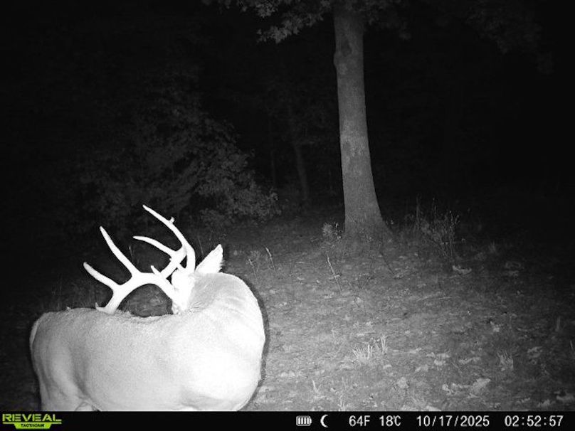 860516062938992-100-4-10172025025256-W1021407