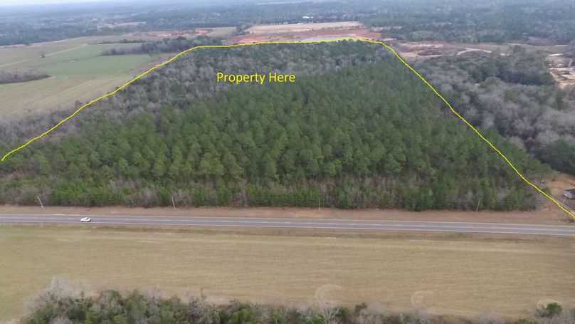 Main pic - 59 baldwin, al