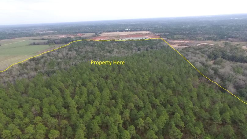 Pic 4 59 baldwin, al