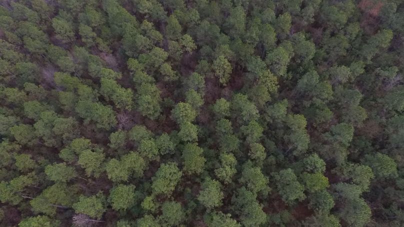 Pic 5 59 baldwin, al