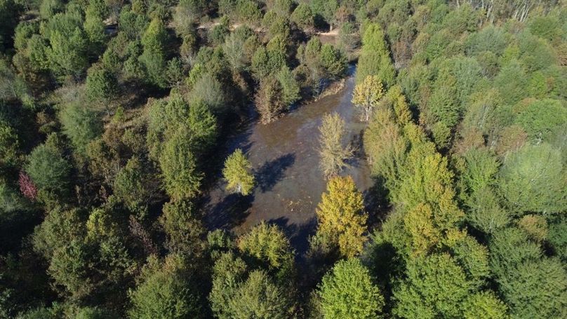 1a1 jeff 8320251111_0233