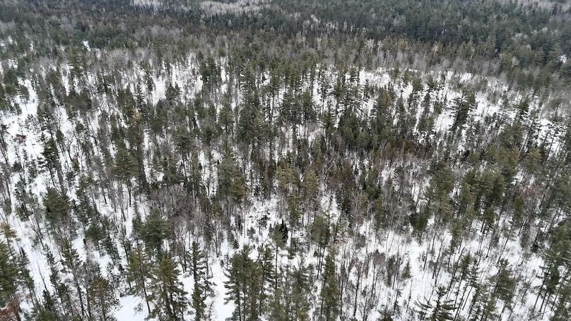 DJI_20260209113831_0216_D