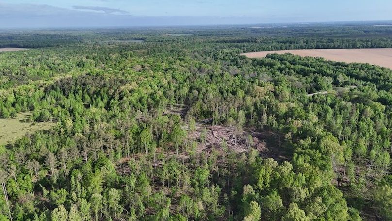 DJI_20260413213533_0237_D