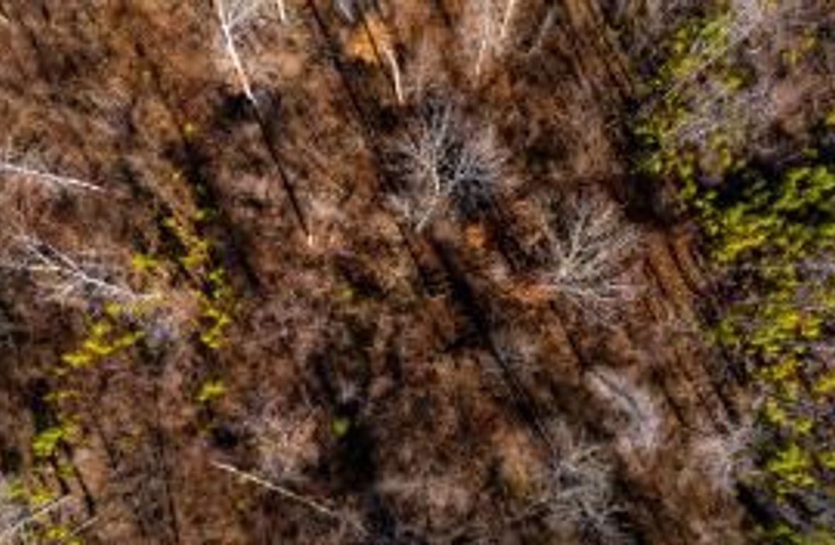 MCKINNON TRACT 18B-06