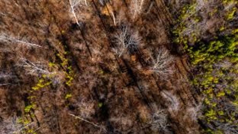 MCKINNON TRACT 18B-06